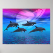 Dolphin Dreams Poster (Vorne)