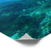 Dolphin Duo Poster (Ecke)