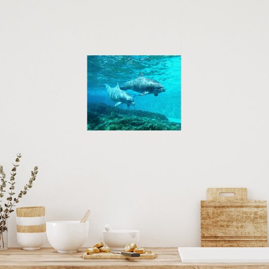 Dolphin Duo Poster (Küche)