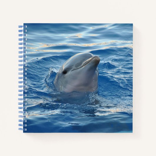 Dolphin Face in Ocean Cute Photo Notizblock (Vorderseite)
