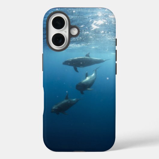Dolphin-Familie Case-Mate iPhone Hülle (Rückseite)