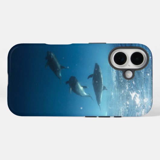 Dolphin-Familie Case-Mate iPhone Hülle (Rückseite (Horizontal))