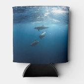 Dolphin-Familie Dosenkühler (Vorderseite)