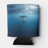 Dolphin-Familie Dosenkühler (Rückseite)