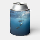 Dolphin-Familie Dosenkühler (Kanne Rückseite)