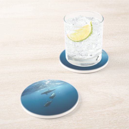 Dolphin-Familie Getränkeuntersetzer (Seite)