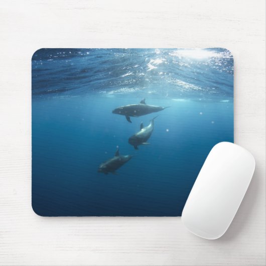 Dolphin-Familie Mousepad (Mit Mouse)