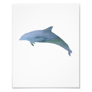 Dolphin Farbenfrohe Wasserfarbe Fotodruck