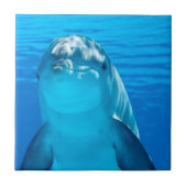 Dolphin Fliese (Vorderseite)