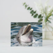 DOLPHIN FOTOGRAFIE POSTCARD POSTKARTE (Stehend Vorderseite)
