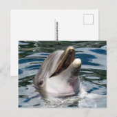 DOLPHIN FOTOGRAFIE POSTCARD POSTKARTE (Vorne/Hinten)