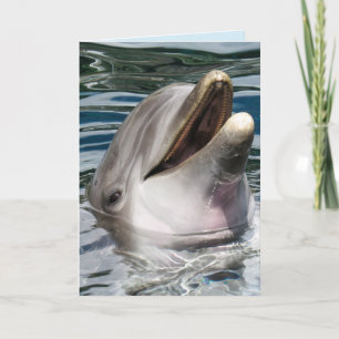 DOLPHIN FOTOGRAFIE SMILE BIRTHDAY CARD KARTE