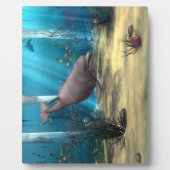 Dolphin Fotoplatte (Vorderseite)