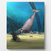 Dolphin Fotoplatte (Vorderseite)