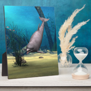 Dolphin Fotoplatte