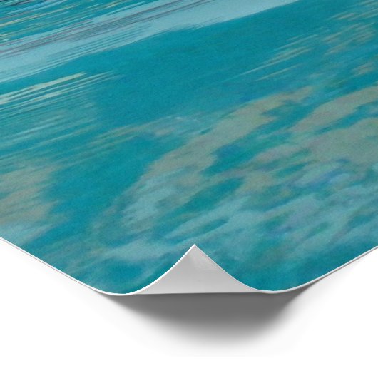 Dolphin Friend Poster (Ecke)