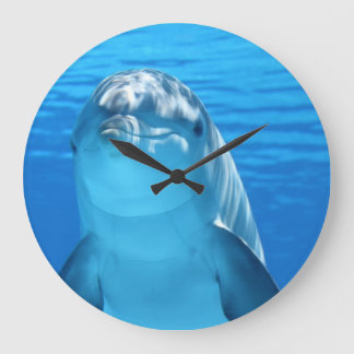 Dolphin-Gesicht nah Große Wanduhr