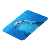 Dolphin-Gesicht nah Magnet (Linke Seite)