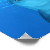 Dolphin-Gesicht nah Poster (Ecke)