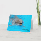 Dolphin Get Well Card Karte (Vorderseite)