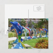 Dolphin-Grüße von der Postkarte von Clearwater Flo (Vorne/Hinten)