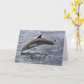 Dolphin Grußkarte Karte (Gelbe Blume)