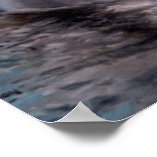 DOLPHIN HEAD POSTER (Ecke)