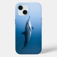 Dolphin im blauen Meer