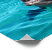 Dolphin in Blue Water Foto Poster (Ecke)