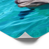 Dolphin in Blue Water Foto Poster (Ecke)