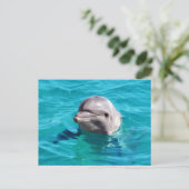 Dolphin in Blue Water Foto Postkarte (Stehend Vorderseite)