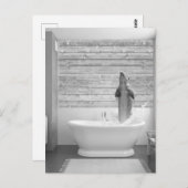 Dolphin in der Badewanne Postkarte (Vorne/Hinten)