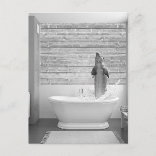 Dolphin in der Badewanne Postkarte (Vorderseite)