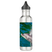 Dolphin in Milford Sound, Neuseeland Edelstahlflasche (Links)