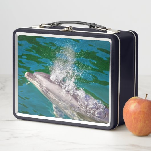 Dolphin in Milford Sound, Neuseeland Metall Brotdose (Beispiel)