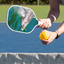 Dolphin in Milford Sound, Neuseeland