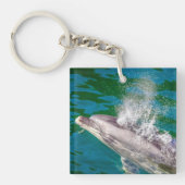 Dolphin in Milford Sound, Neuseeland Schlüsselanhänger (Vorderseite)