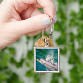 Dolphin in Milford Sound, Neuseeland Schlüsselanhänger