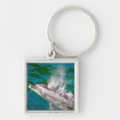 Dolphin in Milford Sound, Neuseeland Schlüsselanhänger (Vorne)