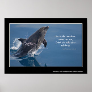 Dolphin-inspirierendes Poster