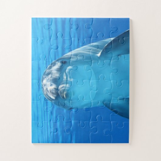 DOLPHIN JIGSAW PUZZLE (Vertikal)