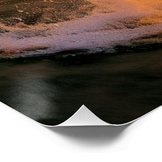 Dolphin Jumping and Splashing Poster (Ecke)