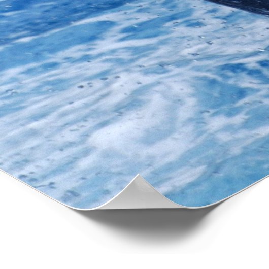 Dolphin Jumping Poster (Ecke)