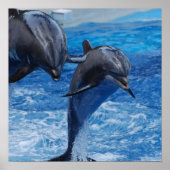 Dolphin Jumping Poster (Vorne)