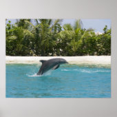 Dolphin Jumping Tropical Beach Poster (Vorne)
