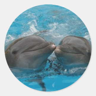 Dolphin Kiss Runder Aufkleber
