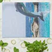 Dolphin Kitchen Handtücher (Gefaltet)
