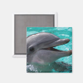 Dolphin Kopf in Wasser Magnet (Vorderseite/Rückseite)