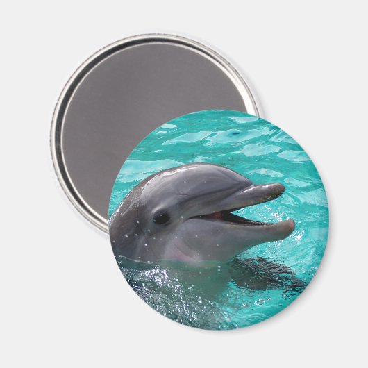 Dolphin Kopf in Wasser Magnet (Vorderseite/Rückseite)