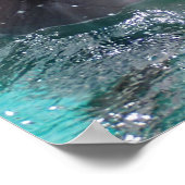 Dolphin Kopf in Wasser Poster (Ecke)